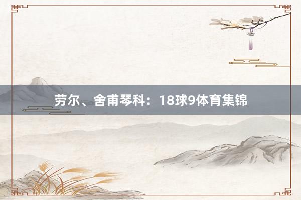 劳尔、舍甫琴科：18球9体育集锦