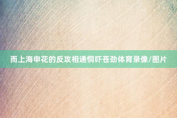 而上海申花的反攻相通恫吓苍劲体育录像/图片