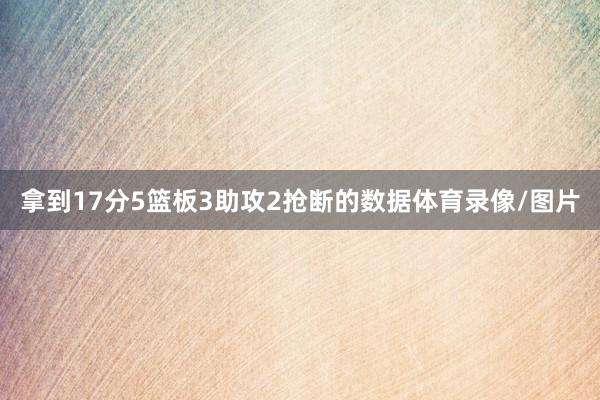 拿到17分5篮板3助攻2抢断的数据体育录像/图片
