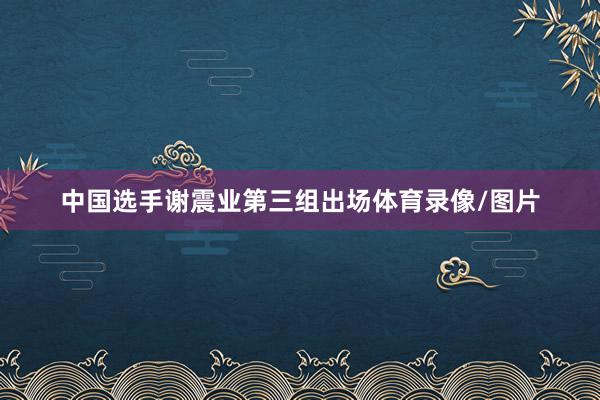 中国选手谢震业第三组出场体育录像/图片