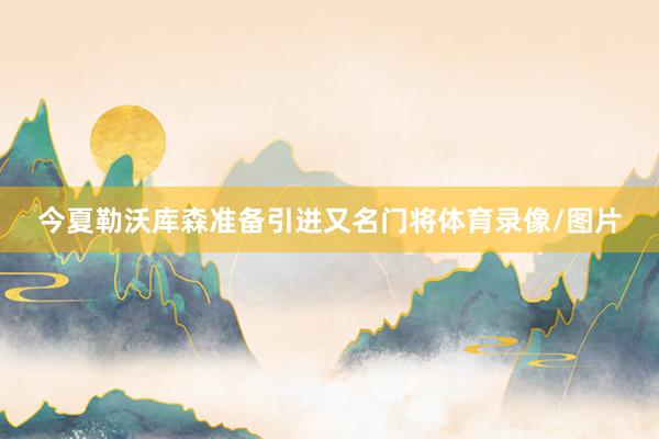 今夏勒沃库森准备引进又名门将体育录像/图片