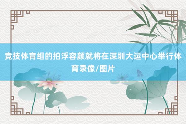 竞技体育组的拍浮容颜就将在深圳大运中心举行体育录像/图片