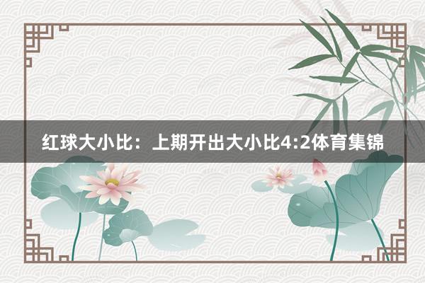 红球大小比：上期开出大小比4:2体育集锦