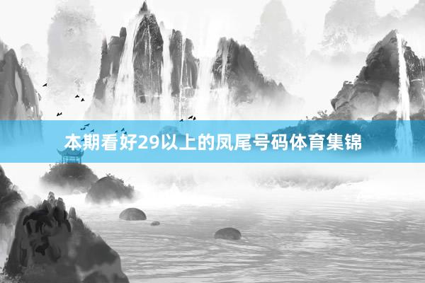 本期看好29以上的凤尾号码体育集锦