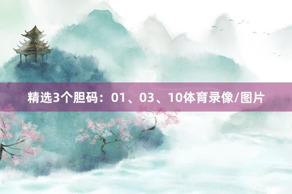 精选3个胆码：01、03、10体育录像/图片