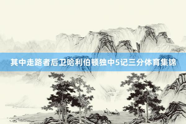 其中走路者后卫哈利伯顿独中5记三分体育集锦