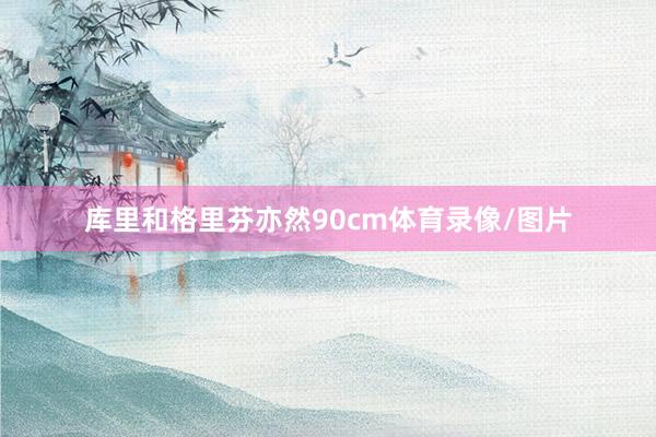 库里和格里芬亦然90cm体育录像/图片