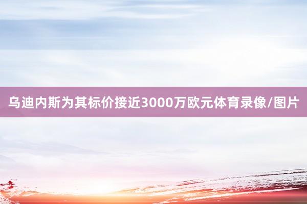 乌迪内斯为其标价接近3000万欧元体育录像/图片