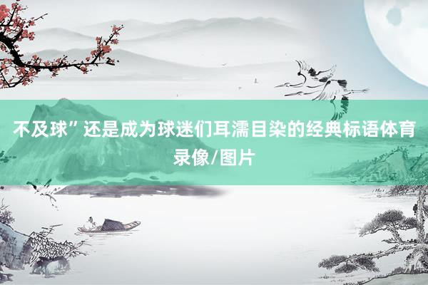 不及球”还是成为球迷们耳濡目染的经典标语体育录像/图片
