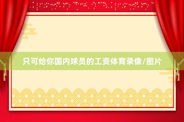 只可给你国内球员的工资体育录像/图片