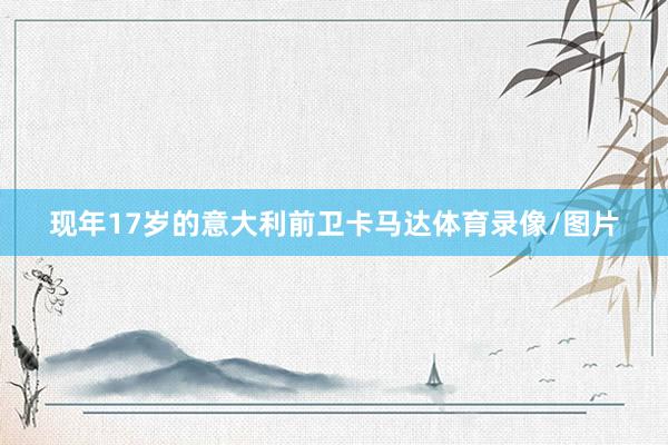 现年17岁的意大利前卫卡马达体育录像/图片