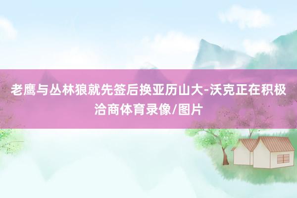老鹰与丛林狼就先签后换亚历山大-沃克正在积极洽商体育录像/图片