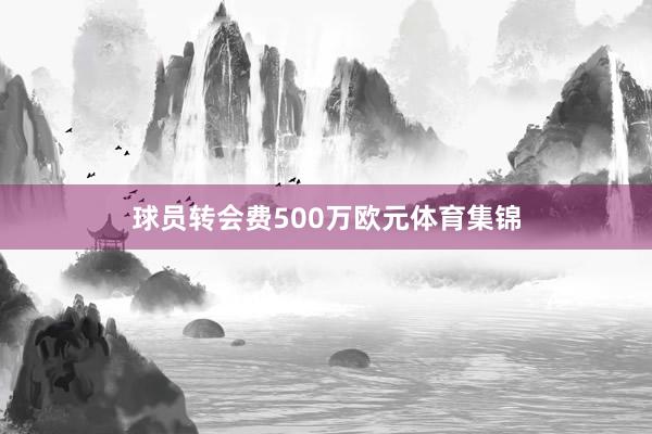 球员转会费500万欧元体育集锦