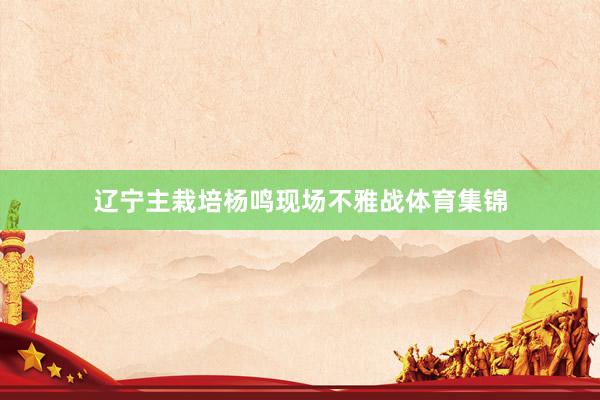 辽宁主栽培杨鸣现场不雅战体育集锦
