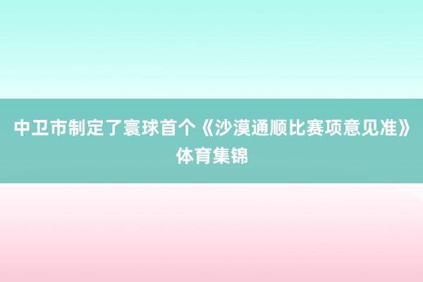 中卫市制定了寰球首个《沙漠通顺比赛项意见准》体育集锦