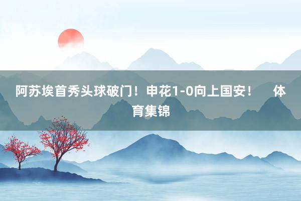 阿苏埃首秀头球破门！申花1-0向上国安！    体育集锦