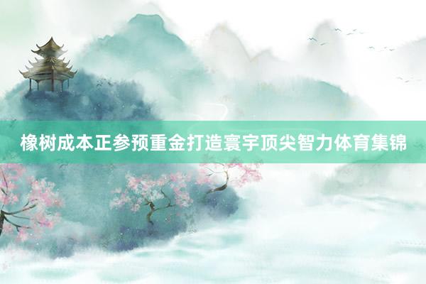 橡树成本正参预重金打造寰宇顶尖智力体育集锦