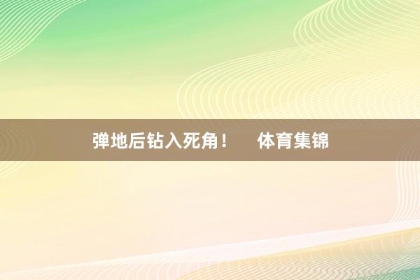 弹地后钻入死角！    体育集锦