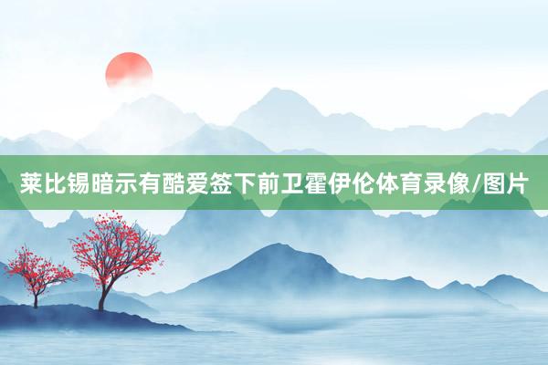 莱比锡暗示有酷爱签下前卫霍伊伦体育录像/图片
