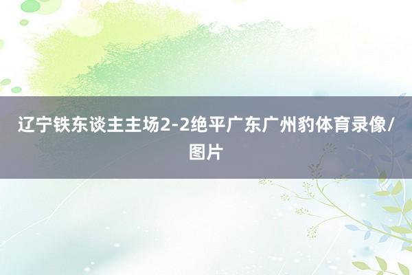 辽宁铁东谈主主场2-2绝平广东广州豹体育录像/图片