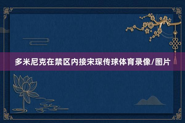 多米尼克在禁区内接宋琛传球体育录像/图片