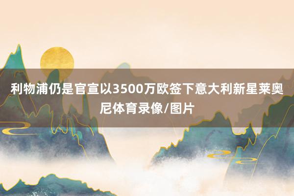 利物浦仍是官宣以3500万欧签下意大利新星莱奥尼体育录像/图片