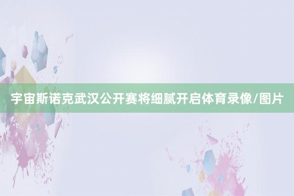 宇宙斯诺克武汉公开赛将细腻开启体育录像/图片