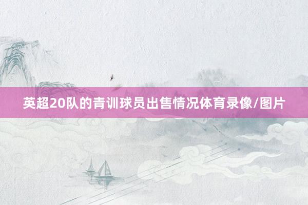 英超20队的青训球员出售情况体育录像/图片