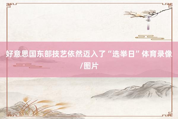 好意思国东部技艺依然迈入了“选举日”体育录像/图片