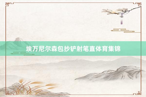 埃万尼尔森包抄铲射笔直体育集锦