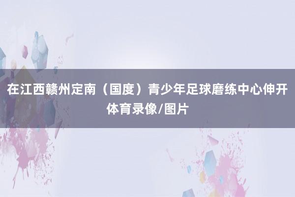 在江西赣州定南（国度）青少年足球磨练中心伸开体育录像/图片