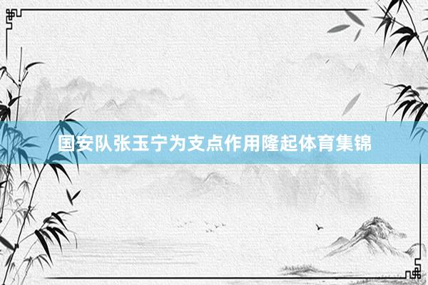国安队张玉宁为支点作用隆起体育集锦