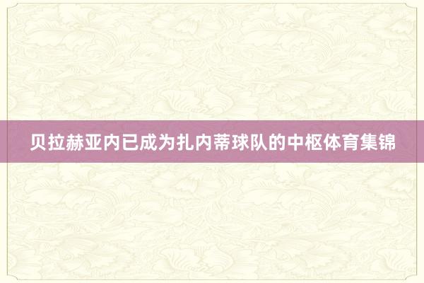 贝拉赫亚内已成为扎内蒂球队的中枢体育集锦