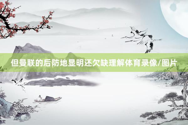 但曼联的后防地显明还欠缺理解体育录像/图片