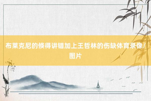 布莱克尼的倏得讲错加上王哲林的伤缺体育录像/图片