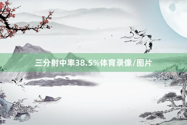 三分射中率38.5%体育录像/图片