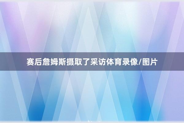 赛后詹姆斯摄取了采访体育录像/图片
