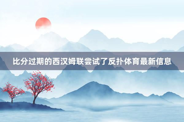 比分过期的西汉姆联尝试了反扑体育最新信息