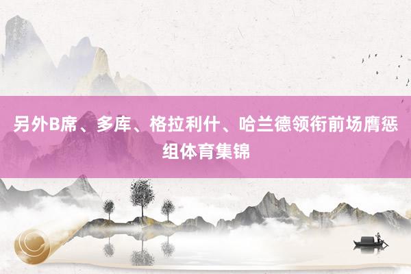 另外B席、多库、格拉利什、哈兰德领衔前场膺惩组体育集锦