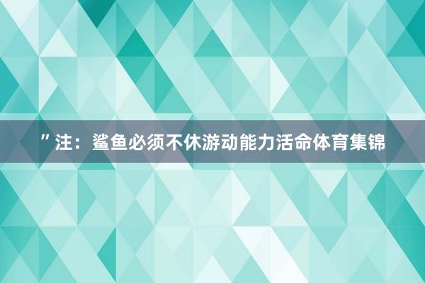 ”注：鲨鱼必须不休游动能力活命体育集锦