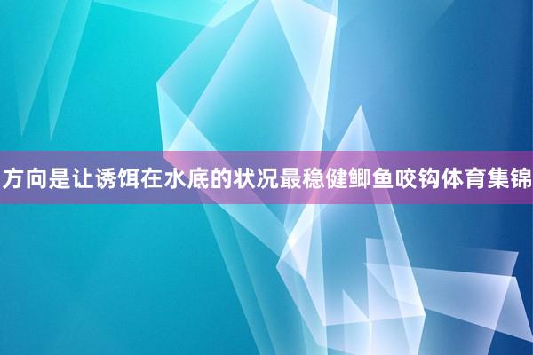 方向是让诱饵在水底的状况最稳健鲫鱼咬钩体育集锦