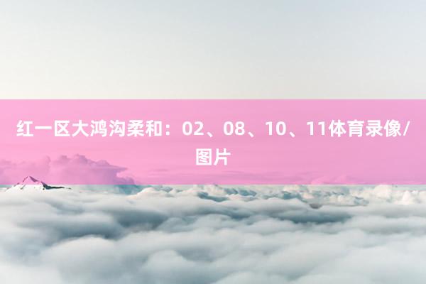 红一区大鸿沟柔和：02、08、10、11体育录像/图片