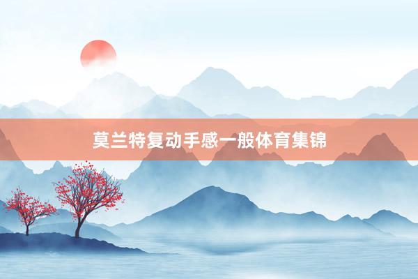 莫兰特复动手感一般体育集锦