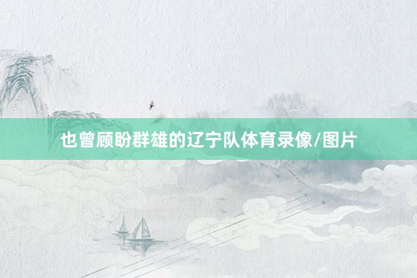 也曾顾盼群雄的辽宁队体育录像/图片