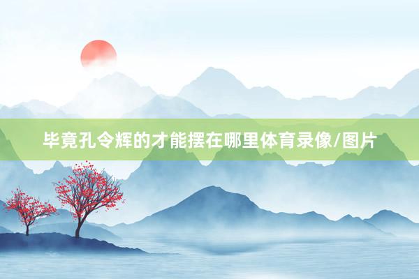 毕竟孔令辉的才能摆在哪里体育录像/图片