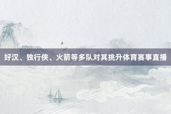 好汉、独行侠、火箭等多队对其挑升体育赛事直播