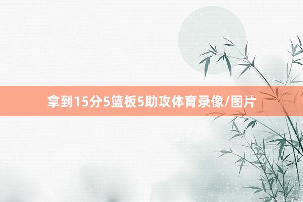 拿到15分5篮板5助攻体育录像/图片