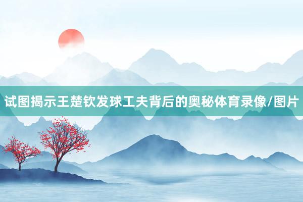 试图揭示王楚钦发球工夫背后的奥秘体育录像/图片
