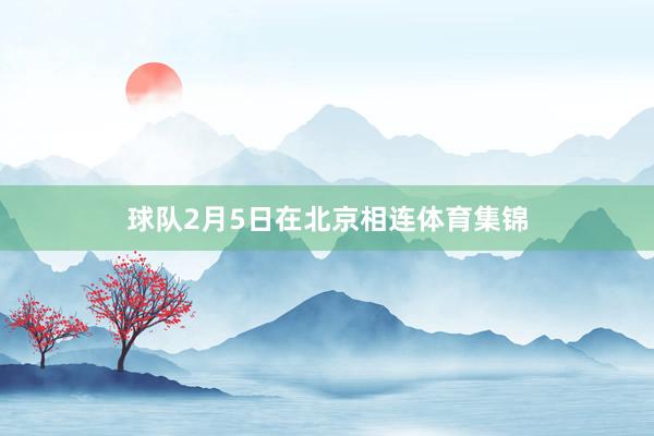 球队2月5日在北京相连体育集锦