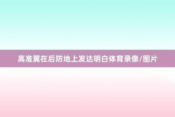 高准翼在后防地上发达明白体育录像/图片